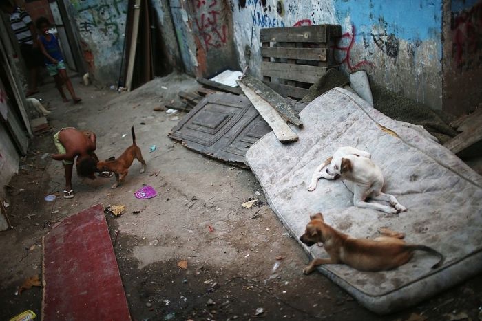 Бедность в Бразилии (5)