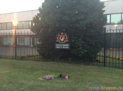У посольства Малайзии на Мосфильмовской появились цветы в память о пассажирах сбитого