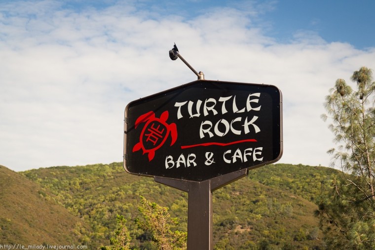 Самый денежный бар «Turtle Rock Bar & Cafe» (3)