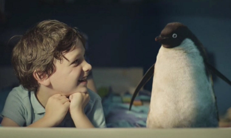 Дружба пингвина и мальчика