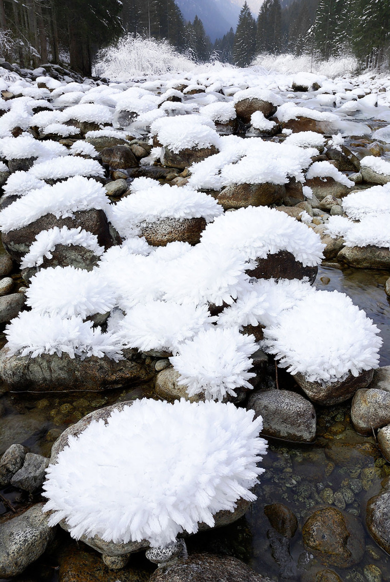 Ледяные иголки на камнях