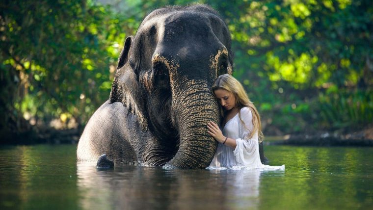 Девушка и слон